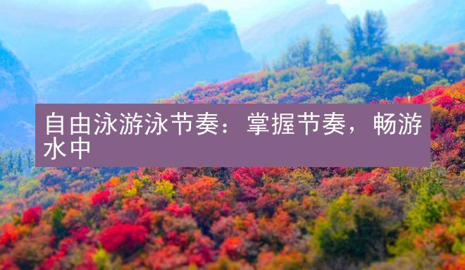 自由泳游泳节奏：掌握节奏，畅游水中